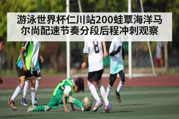 游泳世界杯仁川站200蛙覃海洋马尔尚配速节奏分段后程冲刺观察